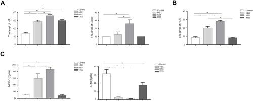 Figure 4 Measurement of fibrosis, ROS and cytokines levels. (A) Fibrosis levels of HA and Col IV in Control, HBX, 1653 and 1753 groups. (B) ROS levels in Control, HBX, 1653 and 1753 groups. (C) Cytokines levels of MCP-1 and IL-18 in Control, HBX, 1653 and 1753 groups. **P<0.01, *P<0.05.