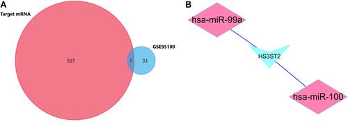 Figure 5 The miRNA-mRNA network of hsa-miR-100, hsa-miR-99a, and HS3ST2 in CRC tissues and CRCLN tissues. (A) Venn Diagram of target mRNAs and GSE95109. (B) Identified target mRNAs and miRNA-mRNA regulatory network.