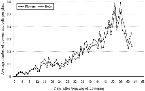Figure 2. Daily number of flowers and bolls during the production stage (62 days) in the second season (II) for the Egyptian cotton cultivar Giza 75 (Gossypium barbadense L.) grown in uniform field trial at the experimental farm of the Agricultural Research Centre, Giza (30° N, 31°: 28′ E), Egypt.