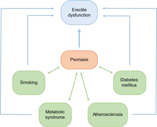 Figure 1 Association between erectile dysfunction, psoriasis, and comorbidities.