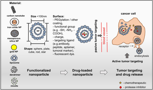 Figure 2 Nanostructured drug delivery systems. Schematic representation of the nanocarriers used in smart drug delivery systems showing their structure: size, material, shape and surface. A smart drug delivery system uses passive targeting and active targeting. Passive targeting employs the enhanced permeability and retention to locate cancer sites. The accumulation rate of nanoparticles (NPs) in a tumor is higher than in healthy tissue due to the leaky endothelium of the tumor vasculature. Furthermore, a deficiency of the lymphatic system leads to the retention of NPs in the tumor. Active targeting uses the ligand-receptor interaction to locate cancer cells; drug-loaded NPs are conjugated with targeting ligands.Citation135,Citation136