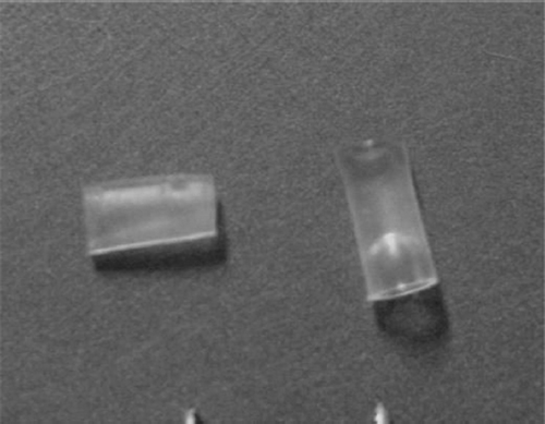Figure 2. Absorbable de-acetyl chitin conduit with 2 mm inner diameter used in this experiment (with permission of Dr. Peixun Zhang).