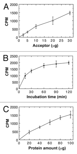 Figure 2. Biochemical properties of xylan xylosyltransferase activity in microsomes from rice stems. The xylosyltransferase activity was assayed by incubating microsomes with the UDP-[14C]-xylose donor and the Xyl4 acceptor for 30 min unless otherwise indicated. The activity (CPM) was measured by the transfer of the radiolabeled xylosyl group onto the acceptor. All assays were repeated twice and the data are means ± SE of assays from 3 independently isolated microsomes. (A) Dependence of the xylosyltransferase activity on the Xyl4 acceptor concentration. (B) Time course of the transfer of the radiolabeled xylosyl residues onto the acceptor by the xylosyltransferase activity. (C) The xylosyltransferase activity is protein concentration-dependent.