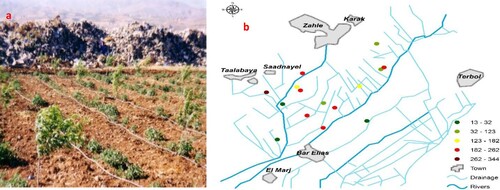 Figure 3. Disposal of solid waste near agricultural fields in Central Bekaa Plain (Photo: T. Darwish). Field inspection of nitrate content in shallow aquifers in Central Bekaa area, Spring 2002 (Source: Darwish et al., Citation2004).