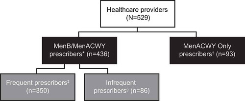 Figure 1. Flow chart of respondents by prescribing patterns and provider type.