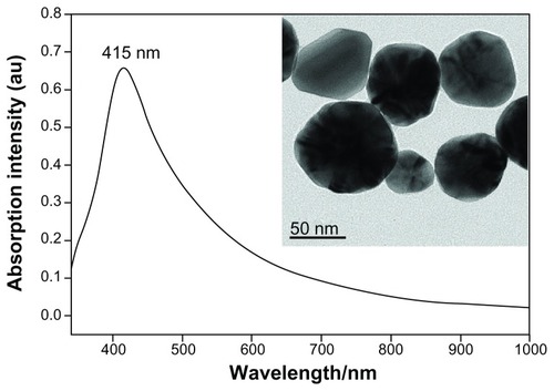 Figure 2 The UV/visible absorption spectrum of the Ag colloid with a maximum absorption peak located at 415 nm.Note: The inserted photograph shows the TEM micrograph of Ag nanoparticles.Abbreviations: UV, ultraviolet; TEM, transmission electron microscopy.