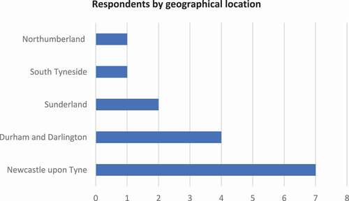 Figure 2. Respondents by geographical area