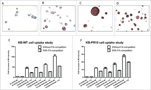 Figure 2. FA targeted nanoemulsions significantly enhances cellular uptake in FR-α positive cells. IHC staining of FR- α in (A) A2780 (B) SKOV-3 (C) KB-WT and (D) KB-PR10 cells. Flow cytometry analysis of cellular uptake of the Rh-labeled NEs with varying amount of FA in (E) KB-WT cells, (F) KB-PR10 cells with or without pretreatment with FA (1 mM).