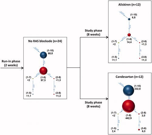 Figure 4. Group median Ang levels. The illustration on the left contains the median Ang values of all 24 patients after the run-in phase, during which all RAS blockers were eliminated. The right upper illustration shows median Ang values after aliskiren intake; the right lower illustration shows median values after candesartan intake. Size of spheres and numbers aside represent median Ang concentrations in pg/mL analysed by mass spectrometry directly out of patient’s plasma. Numbers in brackets describe Ang sequence. Median values, which were below the LLOQ, were specified as such.