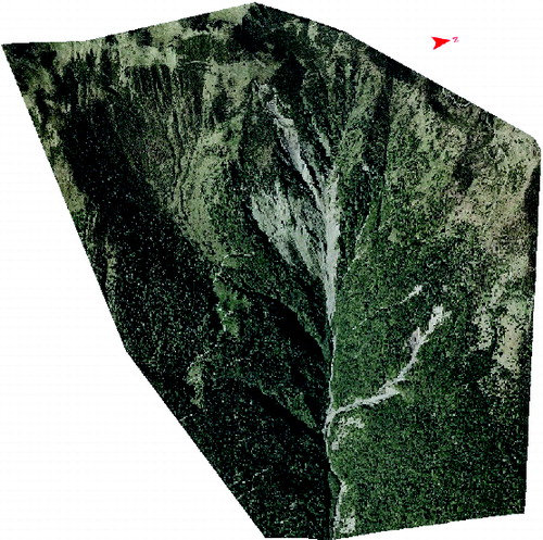 Figure 3. The DTM derived from 2003 LiDAR flight. On the middle the main landslide body while on the right the results of some minor slope collapses.