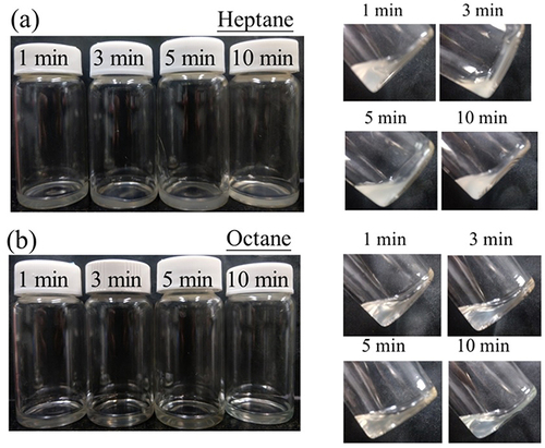 Figure 3 Image of NGs prepared in different organic solvents: (a) heptane and (b) octane.