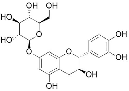 Figure 1. Chemical structures of catechin 7-O-beta-D-apiofuranoside from ulmus species. This figure was made with ChemDraw (https://revvitysignals.com/products/research/chemdraw).