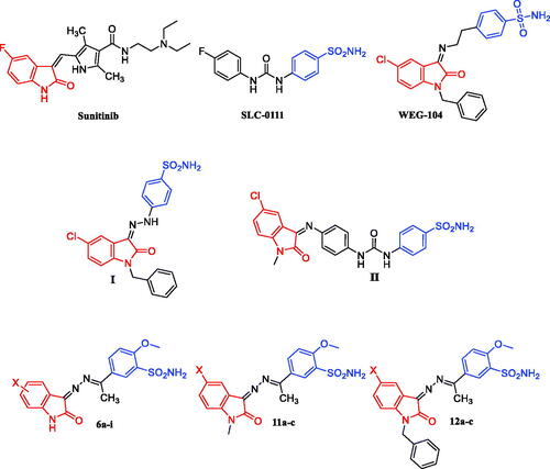 Figure 1. Structure of Sunitinib, SLC-0111, WEG-104, compounds I-II, and target compounds 6a-i, 11a-c and 12a-c.