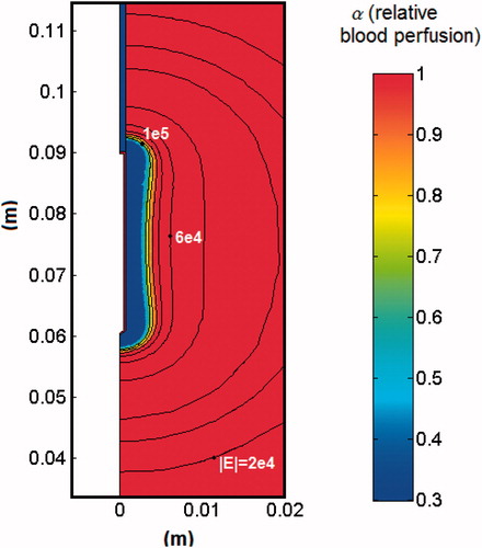 Figure 3. Distribution of the relative blood perfusion (α) and the electric field (V/m) at the end of the application of the EP pulse.