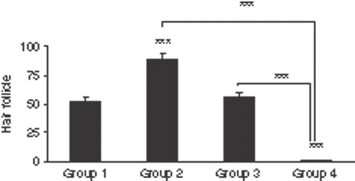 Figure 2. Mean of the number of hair follicles in the burn wounds of the four groups. Comparison between group 1 and group 2 was done by paired Student t-test while independent student t-test was applied for other comparisons. The numbers of hair follicles in the wounds of group 2 were significantly higher than their corresponding wounds in group 1. The difference between the number of hair follicles between group 1 and group 3 was not significant. The differences between the number of hair follicles in group 4 and those of groups 1, 2 and 3 were statistically significant. Group 1: burn without any treatment, Group 2: burn + hyperthermia, Group 3: NLX + burn, Group 4: NLX + burn + hyperthermia. NLX: Naloxone, ***p < 0.001.