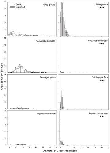 FIGURE 5. Size class distribution of trees in deciduous forest terrain. Bars show the mean number of trees in a given size class, and error bars represent the standard error of the mean (by site). Control and disturbed sites that have significantly different tree size distributions at a terrain level are marked with three asterisks (α = 0.05).