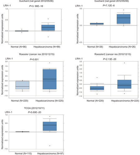 Figure S2 LRH-1 was frequently upregulated in hepatocellular carcinoma clinical specimens.Note: LRH-1 showed increased expression pattern according to several independent cases derived from oncomine database (www.oncomine.org).