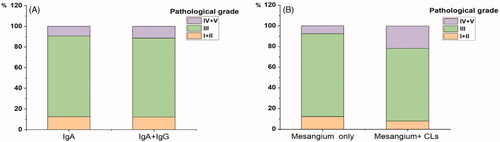 Figure 2. The distribution of renal pathology grade (Lee’s grade) in IgAN. (A) IgA and IgA + IgG (p = 0.571). (B) IgG deposits in the mesangium only and IgG deposits in the mesangium + capillary loops (CLs) (p = 0.020).