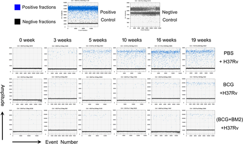 Fig. 3 Representative data of the original microdrop pictures of the CFP10 ddPCR results forM. tb-infected RMs