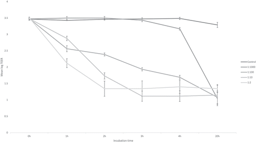 Figure 1. Response of the IPEC-J2 to different concentrations of toxin A (TcdA) and toxin B (TcdB) as measured by transepithelial electrical resistance (TEER) in an in vitro assay up to 20 h of incubation. Control: growth media (Dulbecco’s Modified Eagle’s Medium – DME, DMEM | Sigma-Aldrich). Spent supernatant containing TcdA (1 291 ng/ml) and TcdB (829 ng/ml) diluted 1:2, 1:10, 1:100 and 1:1 000. Methods in Supplementary file S1.