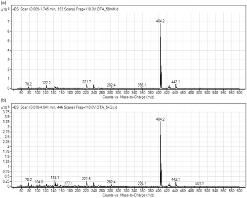 Figure 4. Mass spectra of ochratoxin A (OTA) stock solutions (50 mM): (A) non-irradiated, and (B) irradiated at 5 kGy dose.