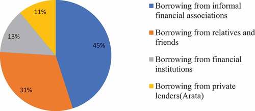 Figure 2. Source of loans in the rural area.