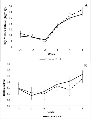 Figure 1. Weekly means of dry matter intake (A) and beta-hydroxybutyrate (BHB) (B) at three weeks before calving to three weeks after calving for purebred Holstein (H) and crossbred Holstein x Simmental cows (H x S) – results (LSM ± SEM) of variance analysis model 2.