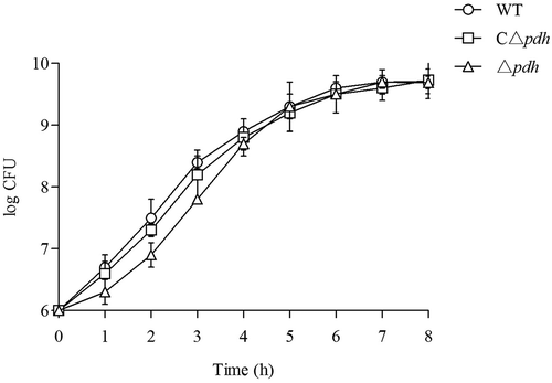 Figure 1. Growth of the WT, Δpdh and CΔpdh S. suis strains in THB medium. (a) Growth was assessed by determination of OD600nm values at the time points indicated. (b) Growth was assessed by determination of viable counts at the time points indicated. Each time point represents three independent tests.