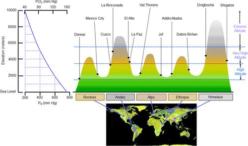 Figure 1 Partial pressure of inspired O2 (PIO2) is decreased in mountainous regions. Representative cities in major mountain ranges are shown. Notes: The map is courtesy of NASA/JPL-Caltech and adapted from NASA/JPL-Caltech. Aster Global Digital Elevation Map (GDEM) . Available at: https://asterweb.jpl.nasa.gov/images/GDEM-10km-colorized.png. Accessed February 28, 2021.Citation210