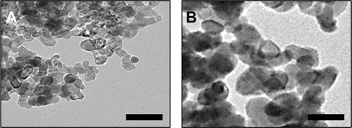 Figure S2 Transmission electron microscopic images of pristine ZnO nanoparticles. (A) ZnOSM20 and (B) ZnOAE100.Note: 100 nm scale bar.