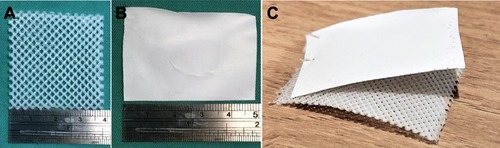 Figure 1 Photographs of (A) PLC mesh, (B) PLGA composite nanofibers, and (C) PLGA-PCL composites.