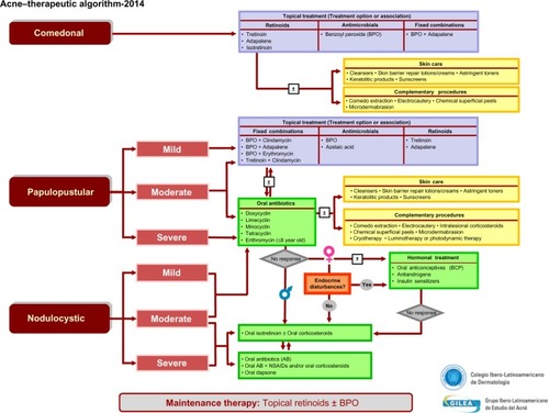 Figure 6 Acne therapeutic algorithm developed by GILEA during the CILAD 2014. Reproduced from Ibero Latina American Collage of Dermatology (CILAD). Available from: http://www.cilad.org/archivos/1/GILEA/alg_eng1.pdf.Citation12