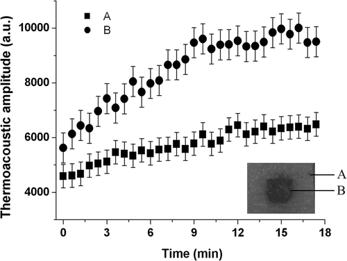 Figure 6. Pulsed microwave-induced acoustic pressure versus heating time with a pulse repetition frequency of 35 Hz. The inset image shows a sample made of agar and Fe3O4 particles.