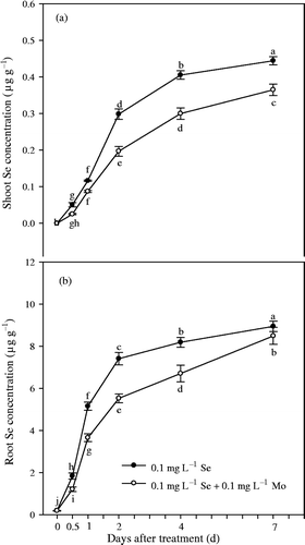 Figure 5. Effects of molybdenum (Mo) treatment on selenium (Se) concentrations in shoot and root of Chinese cabbage (Brassica campestris L. ssp. Pekinensis) in Experiment 2. Bars indicate standard error (n = 4). Different letters indicate significant differences at p < 0.05.