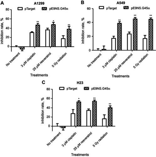 Figure 4 Effect of activated suicide gene therapy vector on NSCLC cell survival. H1299 (A), A549 (B), or H23 (C) cells were transfected with control vector (pTarget) or suicide gene therapy vector (pE9NS.G45α) in 96-well plates. Twenty-four hours later, the cells were exposed to 3 µM of cisplatin, 25 µM of resveratrol or 5 Gy of radiation. After 2 days, MTT assay was performed to determine cell viability. Means of quadruplicate experiments and SDs were shown. T-test with Welch’s correction was used to analyze the statistically significant difference between pTarget- and pE9NS.G45α-transfected samples with same treatment (eg, pTarget+cisplatin vs pE9NS.G45α+cisplatin), * p<0.05; ** p<0.01; N.S p>0.