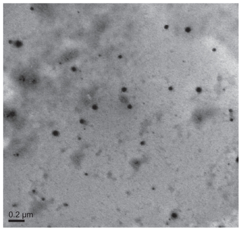 Figure 1 Transmission electron micrograph of realgar nanoparticles.