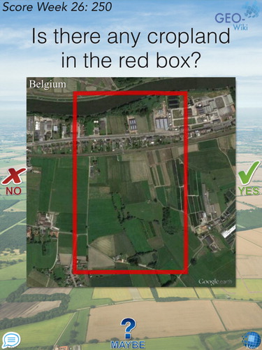 Figure 1. An example of the Cropland Capture user interface. Users swipe the image toward ‘yes,’ ‘no,’ or ‘maybe,’ or click on one of these options, depending on the type of device they are using.