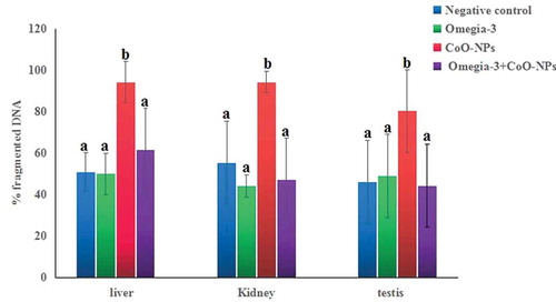 Figure 3. Level of genomic DNA fragmentation in liver, kidney and testis tissues of mice orally administered CoO-XPs and/or omega-3 for three consecutive days. One-way ANOVA followed by Duncan’s test was done and statistical significance is indicated by different letters. Results are expressed as mean ± SD. Abbreviations: a: non-significant difference from the negative control group; b: significant difference from the negative control group.