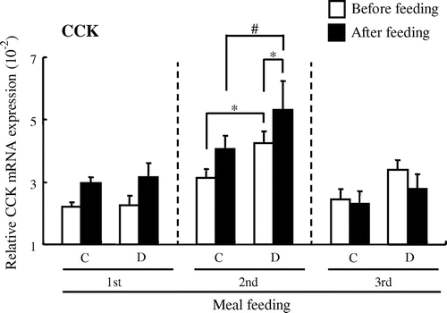 Fig. 5. Changes in expression of cholecystokinin (CCK) mRNA before and after each meal in the rat upper small intestine.