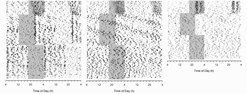 FIGURE 5.  Changes of the circadian activity rhythm of DAO hamsters following a single shortening or lengthening of the dark time by 6 h. None of six animals resynchronized the activity rhythm to the advanced and delayed LD cycles. One of them became day-active (left panel) and two became arrhythmic (right panel). In three cases, the activity rhythm started to free-run (representative example in middle panel). For further details, see Figure 1.