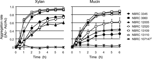 Fig. 6. Time course of the aggregation rate of L. brevis after xylan and mucin addition. As and Ac represent the optical density at 600 nm of the sample with xylan or mucin and the control without them, respectively. The soluble fractions of xylan and mucin were used.