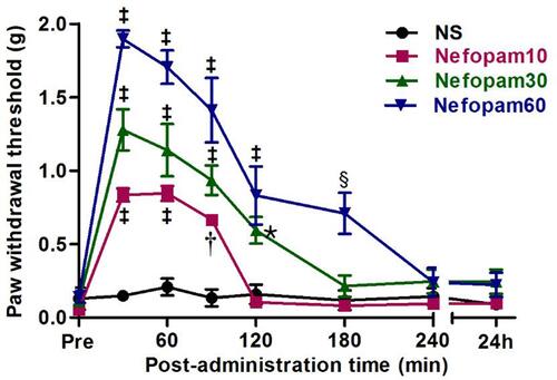 Figure 2 Effects of intraperitoneal nefopam on mechanical stimuli. The paw withdrawal threshold was measured before (Pre) and after intraperitoneal administration of normal saline (NS) and nefopam 10 mg/kg (Nefopam10), nefopam 30 mg/kg (Nefopam30), and nefopam 60 mg/kg (Nefopam60). The results are expressed as mean ± standard error of mean (n=6 in each group). ‡P<0.05 between the NS group and other groups, †P<0.05 between the NS and nefopam10 group, *P<0.05 between nefopam30 and the NS, nefopam10 group, §P<0.05 nefopam60 vs other groups.