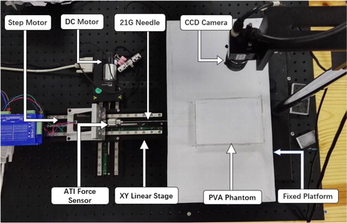 Figure 10. Experiment testbed of needle insertion into a phantom.