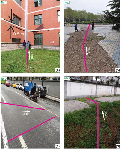 Figure 6. The different kinds of damages caused by ground fissure belt. (a) and (b) are pictures photographed at the survey point No. 1 plotted by green in Figure 5. The ground fissure belt f4 causes to two building having height difference of about 0.5 m (a) and flowerbeds and ground surface broken (b) at Xi'an International University. (c) The photo at the survey point No. 2 across Chongye Road and (d) the survey point No. 3 located at the northeast of Ducheng village.