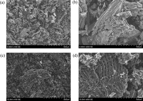 Figure 2. SEM images of the sewage sludge slag: (a, b) before thermal treatment; (c, d) after treatment under 1000ºC.