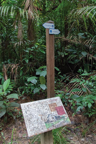 Figure 3. Weather-damaged interpretation panel on ‘cultures vivrières et élevage’. Bagne des Annamites, Montsinéry-Tonnegrande. © Claire Reddleman (2018).