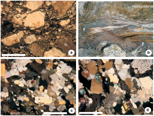 Figure 4. Field photographs and microphotographs of the studied metamorphic basement rocks: (a) quartzite in the metasedimentary succession shown in a box of Figure 3(b), (b) marble xenolith included in the metagabbros, both deformed foliation-parallel and sub-isoclinally folded (F), (c) coarse granular metagabbros preserving original lamellar plagioclase, metamorphic hornblende, and minor quartz. Note that the regional foliation is deduced by planar alignment of hornblende and plagioclase, (d) metaplagiogranite consisting of recrystallized quartz, primary lamellar plagioclase, metamorphic biotite, and epidote developed at expense of plagioclase. Abbreviations: amph, amphibole; bt, biotite; pl, plagioclase; fs, alkali feldspar; ep, epidote. Scale bar = 2 mm.