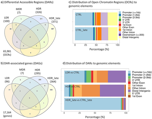 Figure 4. Overlap of Differential Accessible Regions (DARs) and DAR-associated genes (DAGs), and the allocation of open chromatin regions (OCRs) and DARs to genomic elements. Venn diagrams of DARs (a) and DAGs (b) for all experimental groups. The numbers of DARs and DAGs for each group in brackets. Total numbers of identified OCRs (a) and the corresponding genes (b) outside Venn diagram. c) Allocation of OCRs to genomic elements for both controls (CTRL and CTRL_late) after merging the biological replicates. d) Allocation of DARs after contrasting the experimental group to respective controls. MDR and LDR_late are not represented in d) due to few or no DARs identified, respectively. The distribution of the DARs within the genomic elements of the exposure groups were tested by χ2-test and found statistically significant different (χ2statistics = 472.62, p-value < 0.001).