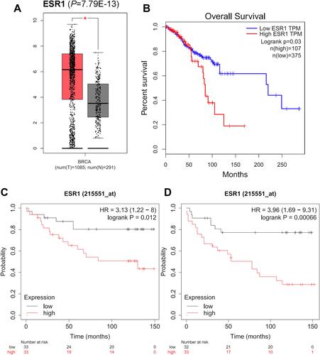 Figure 2 The expression and prognostic values of the hub genes from GEPIA database and Kaplan-Meier plotter databases. (A) The expression level of ESR1 validated in GEPIA database (*P=7.79E-13). (B) The overexpression of ESR1 was associated with worse OS of patients with breast cancer (P=0.03). ESR1 shows both worse OS (C) (P=0.012) and RFS (D) (P=0.00066) in breast cancer patients with following systemic treatment (endocrine therapy).