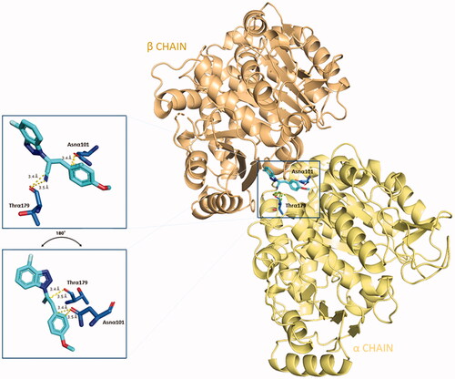 Figure 4. Three-dimensional representation of the binding conformation of compound 5 in CBS at the interface between α- and β-tubulin. Α-subunit is coloured in pale-yellow tint, β-one in light-orange tint. The ligand is in blue marine, interacting amino acids in blue. Yellow dashed lines consider the polar interactions, with a distance value in Å. Native 3D figures were produced via PyMOL.Citation33